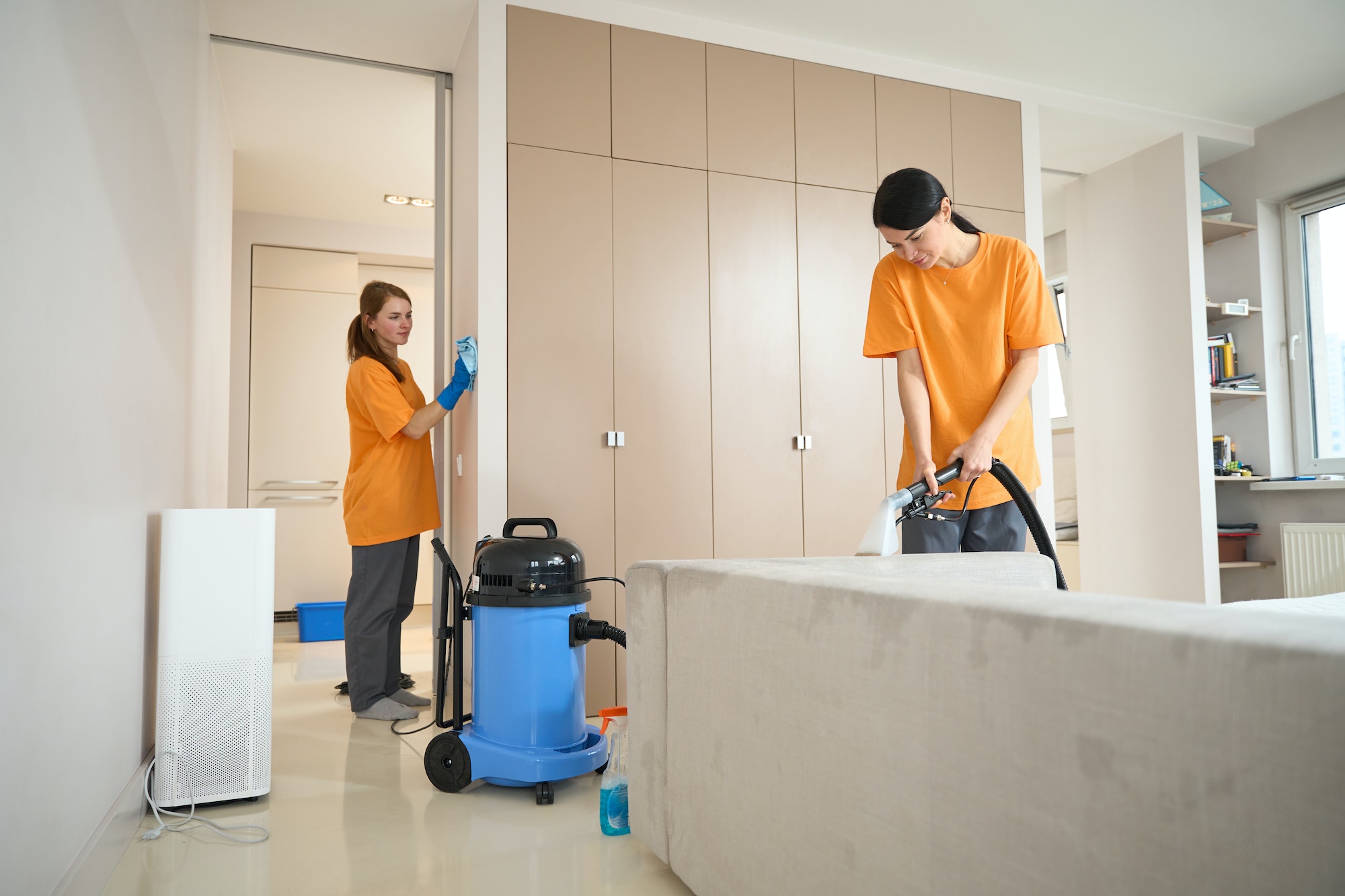 Females from cleaning company working in the house